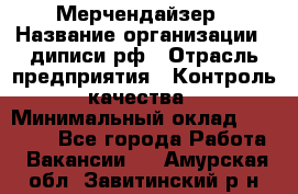 Мерчендайзер › Название организации ­ диписи.рф › Отрасль предприятия ­ Контроль качества › Минимальный оклад ­ 20 000 - Все города Работа » Вакансии   . Амурская обл.,Завитинский р-н